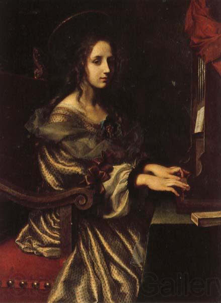 Carlo Dolci St.Cecilia Norge oil painting art